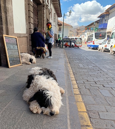 Cusco Peru-May 2019: Daily life in the Cuzco town.