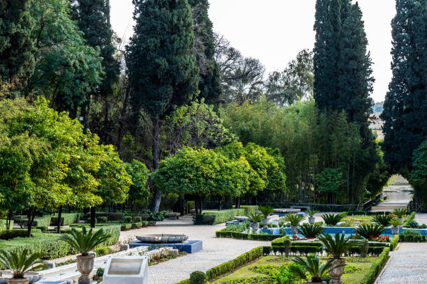 istock View on city park in Fes, Morocco 1308817205