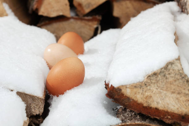 istock Chicken eggs in the snow. A modern composition about village life. 1308817268