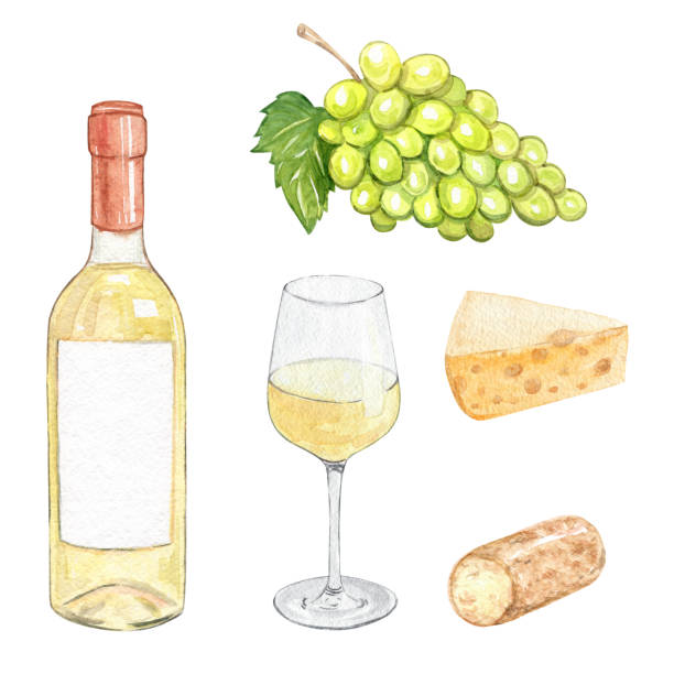 akwarelowe białe wino i ser wyizolowane na białym tle. ręcznie rysowane zielone owoce winogron i szklana butelka wina - cheese wine white background grape stock illustrations