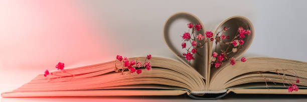 istock Book pages folded into a heart and pink flower. Soft focus, deliberate slight blurring. Delicate pink gypsophila flowers. Slow living concept. Unity with nature. Love 1308817425
