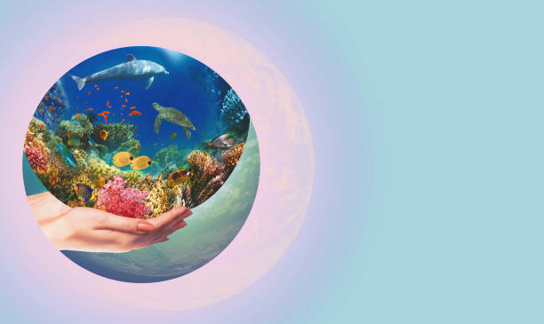 istock Globe in human hand against blue sky. 1308818420