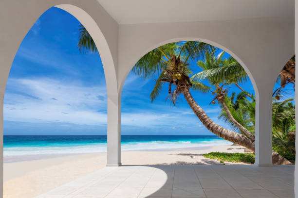 istock Beach tropical resort and palm trees 1308818725
