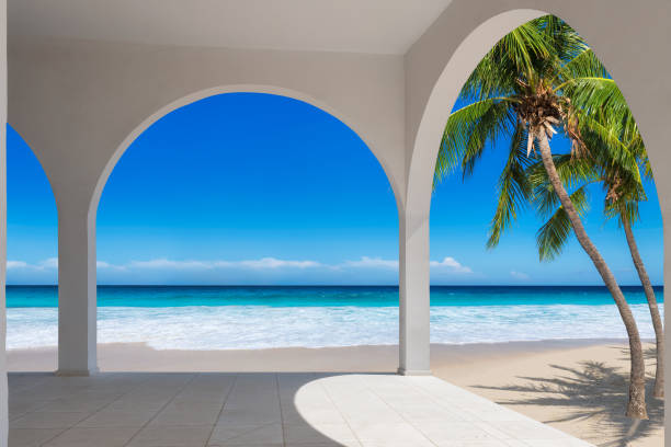 Tropical beach with coconut palm trees, white sand and Caribbean sea view from tropical beach resort.