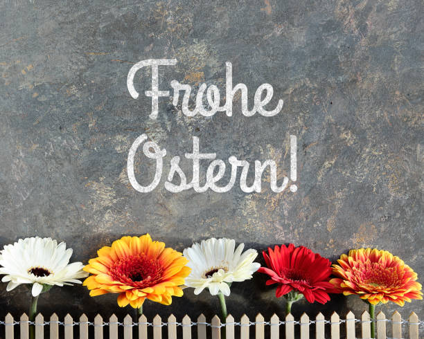 復活節裝飾，文字弗羅赫奧斯特恩的意思是快樂復活節在德語。裝飾柵欄後面的格貝拉花。春天安排在苦惱的背景下。德國復活節賀卡設計 - ostern 個照片及圖片檔
