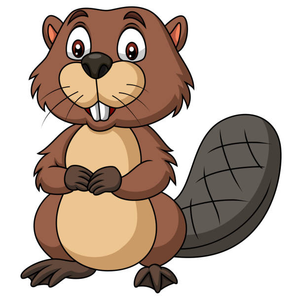 Cartoon happy beaver Illustration of Cartoon happy beaver beaver stock illustrations