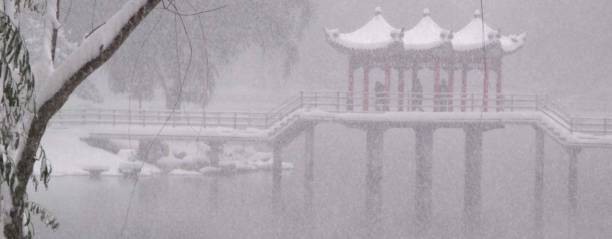 istock Chinese Lake Pagoda during Blizzard 1308828327