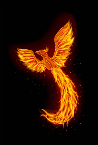Fire Phoenix Mascot Stock Illustration - Download Image Now - Phoenix -  Mythical Bird, Flying, Bird - iStock
