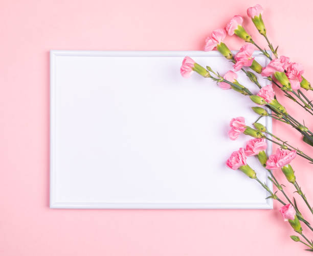 istock Festive minimal horizontal background with frame with white copy space and carnation flowers on pastel pink. 1308834155