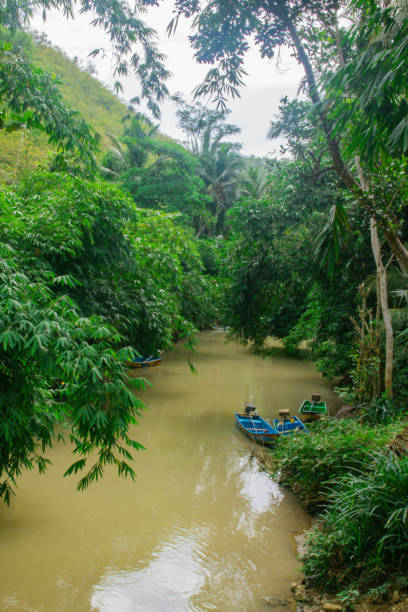istock A green brown river surrounded from tropical rain forest trees 1308835745
