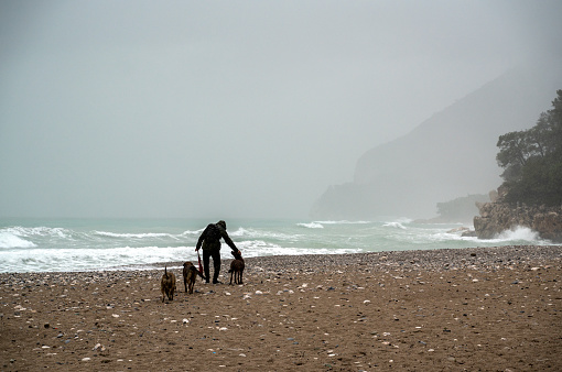 Lonely man walking on the beach with stray dog on a rainy day