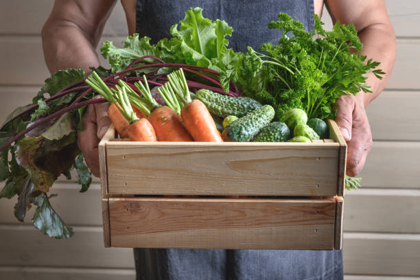 istock A man holds homegrown vegetables, beets, cucumbers, carrots. 1308836935