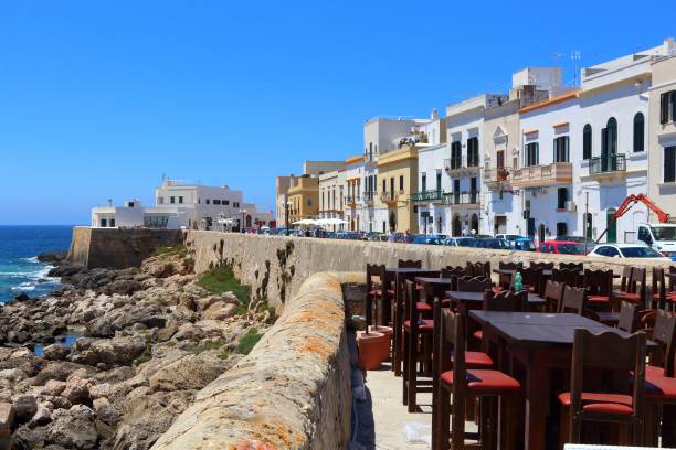istock Gallipoli town, Italy 1308837841