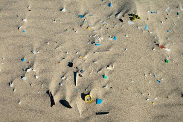 istock pollution with plastics and microplastics in the beach sand 1308838346