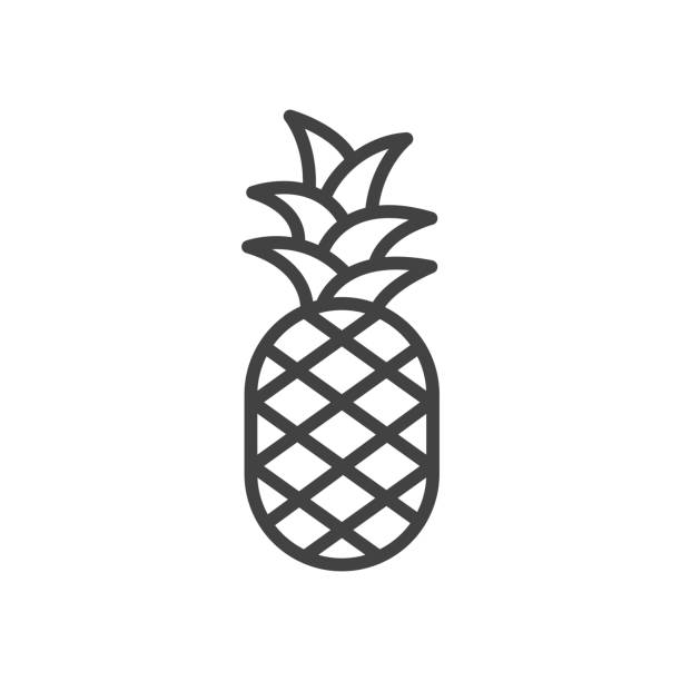 ilustraciones, imágenes clip art, dibujos animados e iconos de stock de icono de contorno de piña. ilustración vectorial. - piña