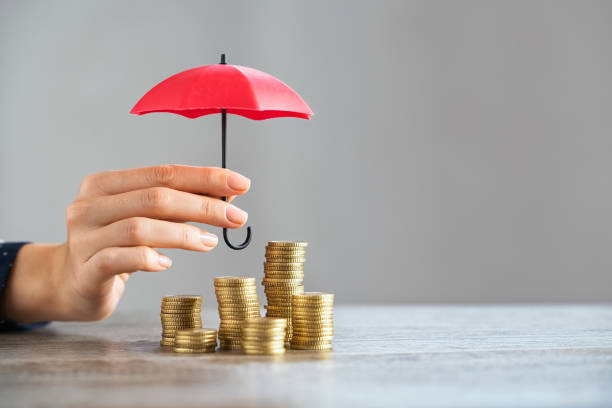 istock Protect your savings and investment 1308840404
