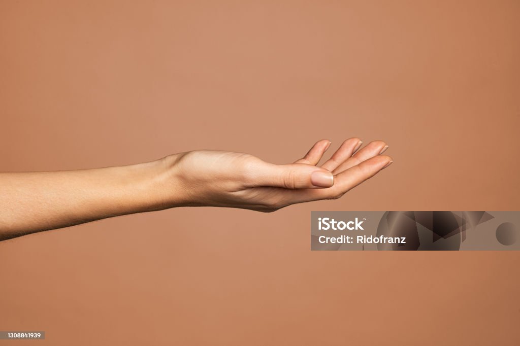 Elegant woman hand with empty palm up Beautiful woman hand isolated on brown background. Empty open female hand on cream background with copy space. Close up of elegant palm faced upwards with space for your product. Hand Stock Photo