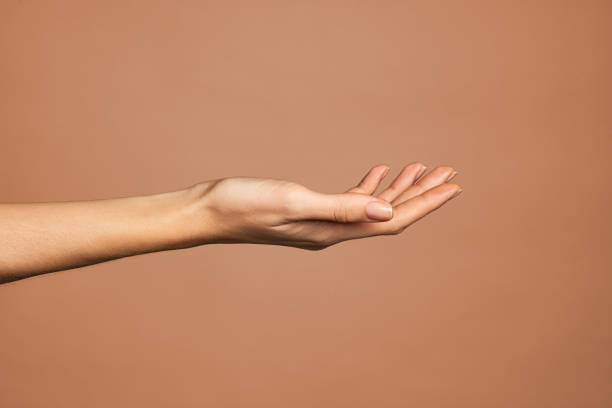 elegant woman hand with empty palm up - hands open imagens e fotografias de stock