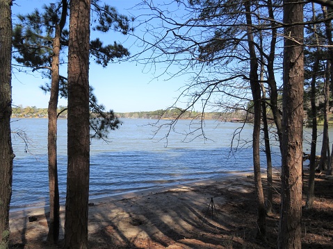 Just an image of a glance off Goat Island, which is part of beautiful Lake Sinclair.