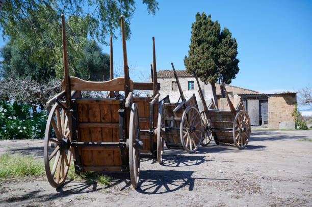 istock Old carts at farmers market 1308843140