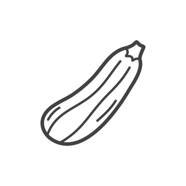 ilustraciones, imágenes clip art, dibujos animados e iconos de stock de icono de línea de calabacín. ilustración vectorial. - zucchini