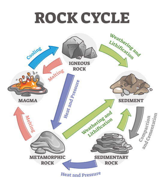 ilustrações, clipart, desenhos animados e ícones de transformação do ciclo de rochas e processo de formação de pedra rotulado diagrama de contorno - igneous rock