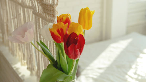 istock Beautiful spring multicolored tulips in a light interior next to macrame 1308854520