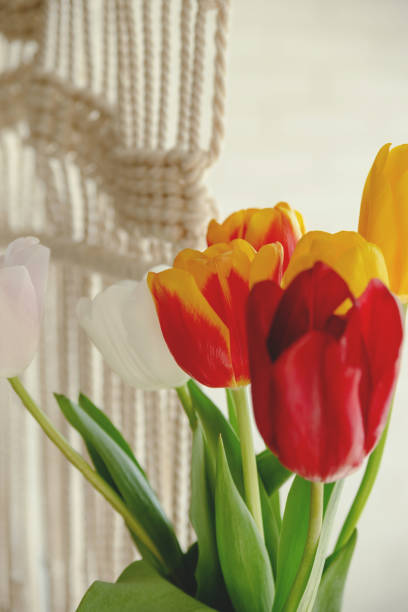 istock Beautiful spring multicolored tulips in a light interior next to macrame 1308854522