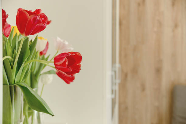 istock Beautiful spring multicolored tulips in a light interior next to white wardrobe 1308854545