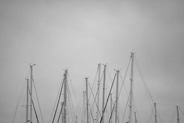 istock Bunch of sailboat masts on cloudy sky black and white 1308857044