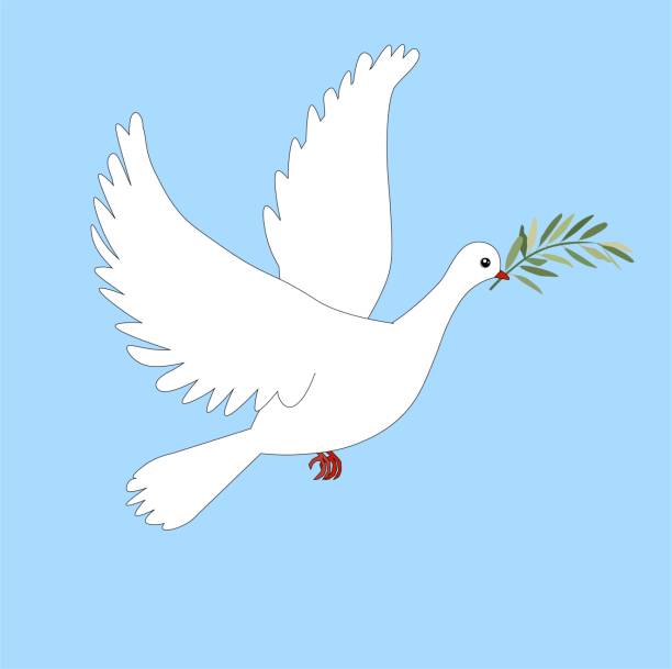 istock White dove of peace with an olive branch in beak fly. Art design element stock vector illustration 1308863417