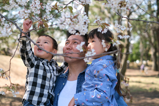 Togetherness of a family in the park of Springtime