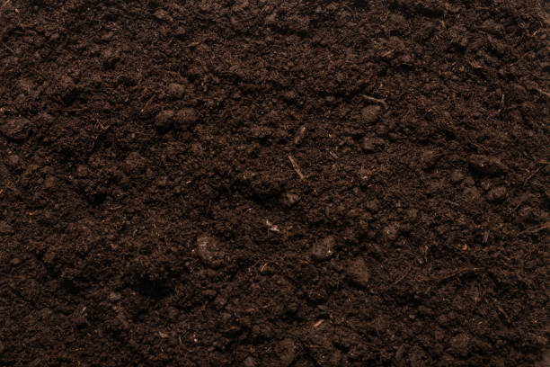 istock Black land for plant background. 1308867741