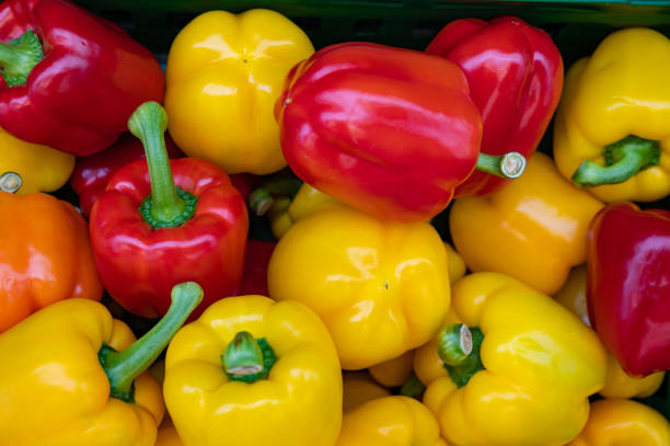 istock stacked fresh paprika for sale 1308869742