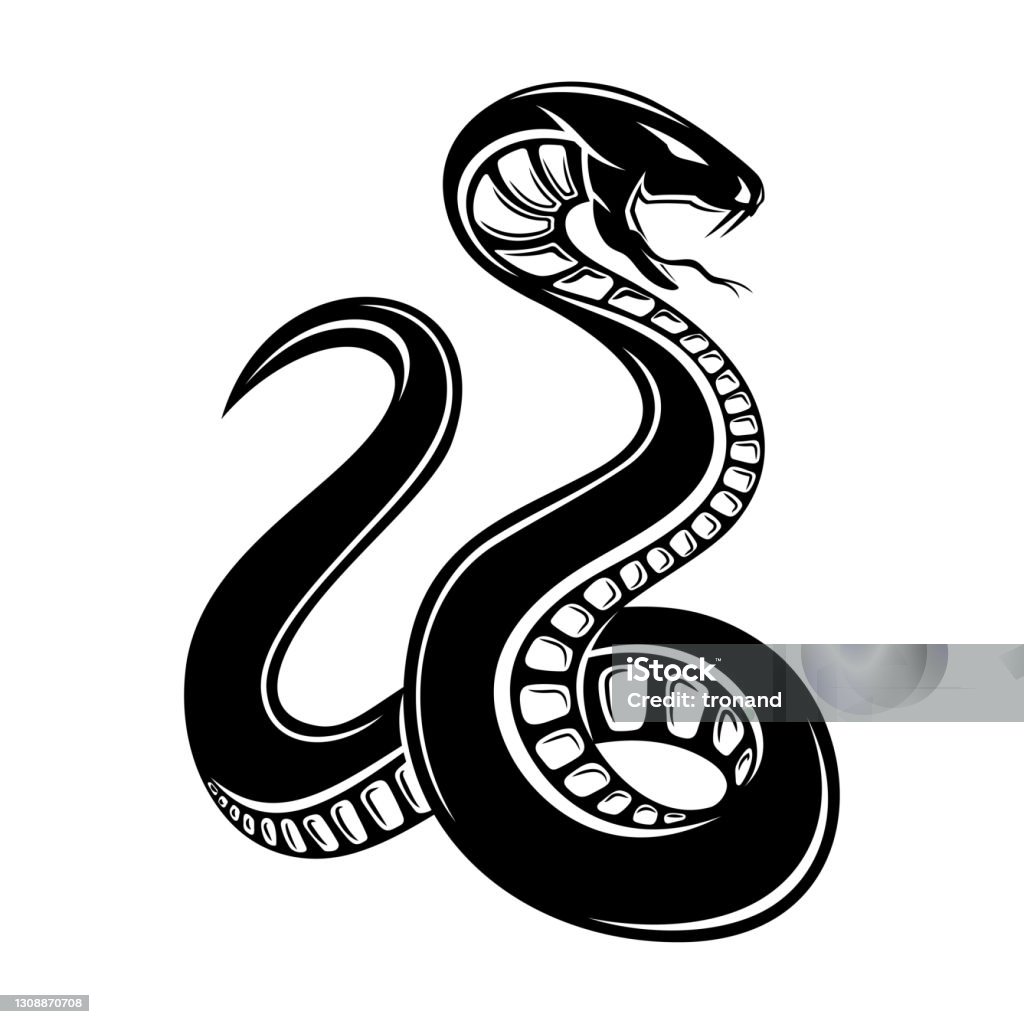 Angry Snake Icon Stock Illustration - Download Image Now - Snake ...