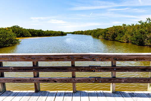 Sanibel Island, USA Bowman's beach with landscape view of Bayou from wooden boardwalk bridge with railing on river bay in summer