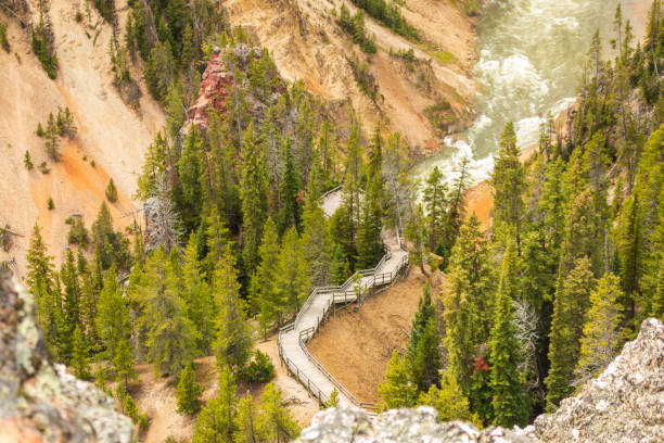 istock Wood deck path, forest , cliff , waterfall , Yellowstone National Park 1308875944