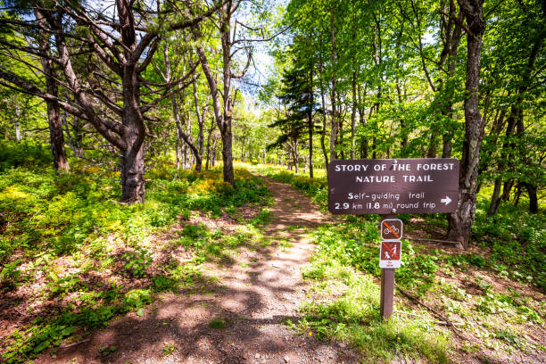 droga ze znakiem kierunku w shenandoah blue ridge appalachów góry na skyline jazdy na opowieść o leśnej przyrody szlak turystyczny w lecie z zielonej trawy, drzew - appalachian trail sign dirt road footpath zdjęcia i obrazy z banku zdjęć