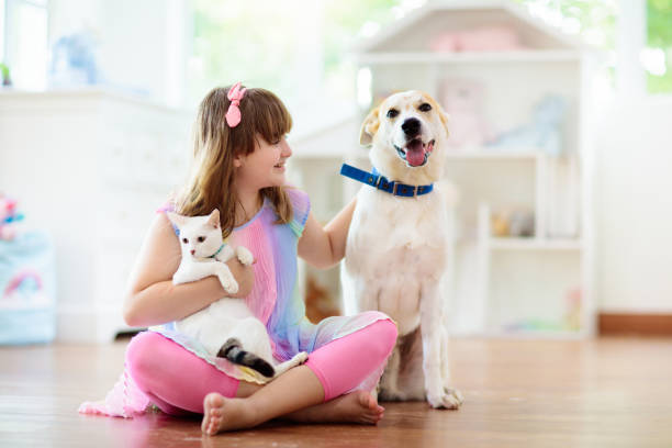 niño jugando con perro. los niños juegan con el cachorro. - domestic cat child little girls kitten fotografías e imágenes de stock