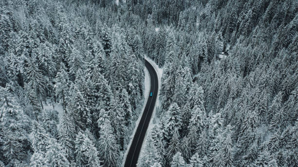 산악 숲을 통과하는 겨울 도로를 운전하는 푸른 자동차의 경치 - drivers point of view country road snowing blizzard 뉴스 사진 이미지