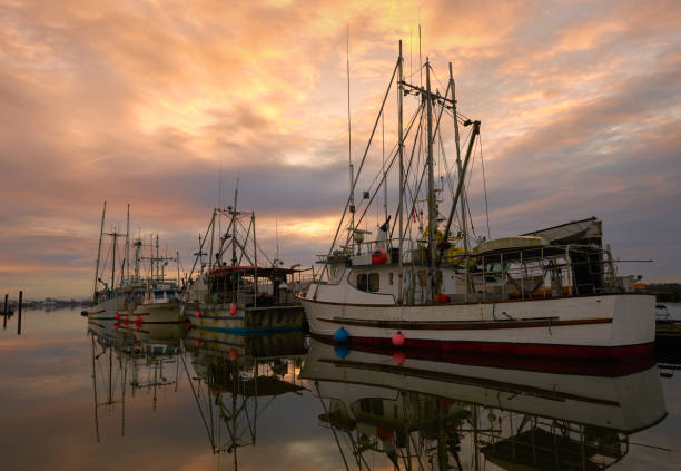 istock Morning Commercial Fishboats at Dock 1308880104