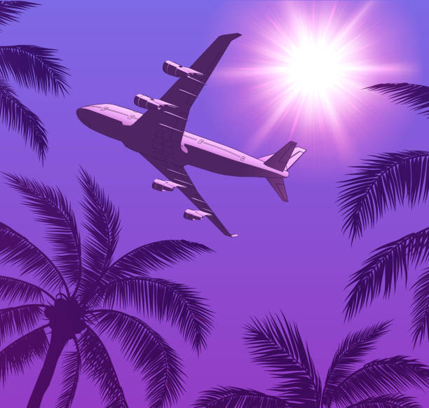istock Passenger Airplane Over Palm Trees and Sun in the Sky 1308880687