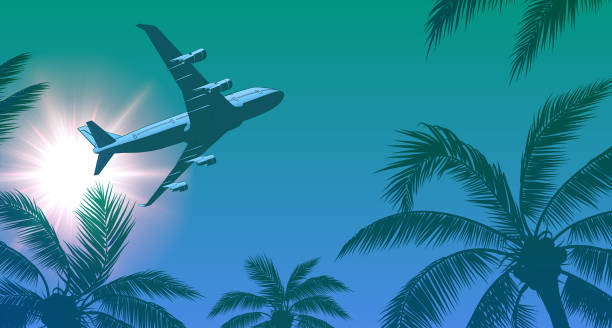 Passenger Airplane Over Palm Trees and Sun in the Sky Passenger Airplane Over Palm Trees and Sun in the Sky. Vector illustration. airplane silhouettes stock illustrations
