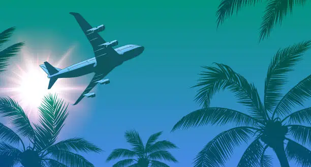 Vector illustration of Passenger Airplane Over Palm Trees and Sun in the Sky