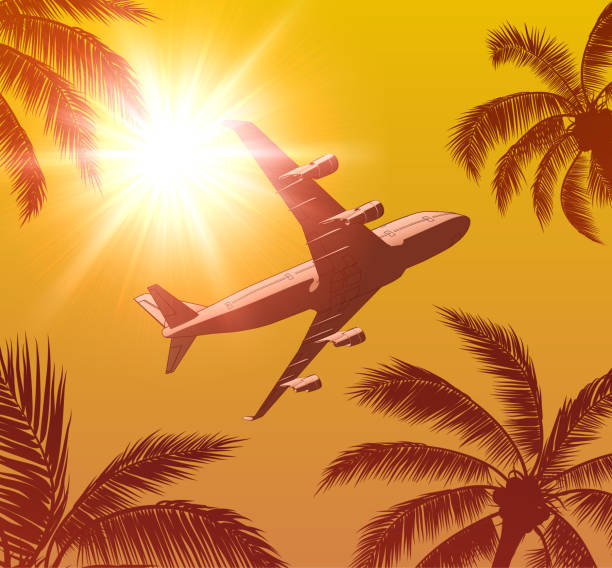 istock Passenger Airplane Over Palm Trees and Sun in the Sky 1308880774