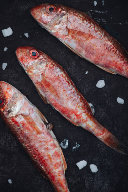 istock Fresh raw red mullet fishes 1308887273