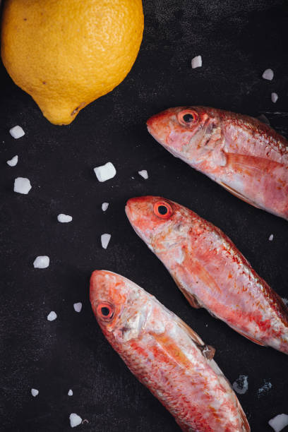 istock Fresh raw red mullet fishes 1308887899