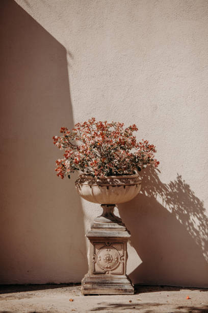 Italian and Mediterranean front yard decoration - stone pedestal  with blooming potted pot with sunshine and shadow.