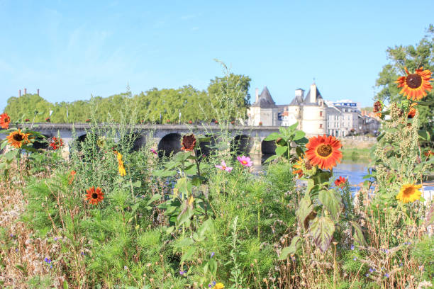 The Henri IV Bridge in Châtellerault stock photo