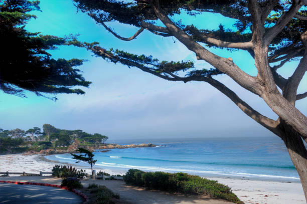 istock Beach Scene in Morning-Carmel,  California 1308894346